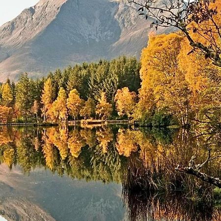Millie'S Place Fort William Bagian luar foto