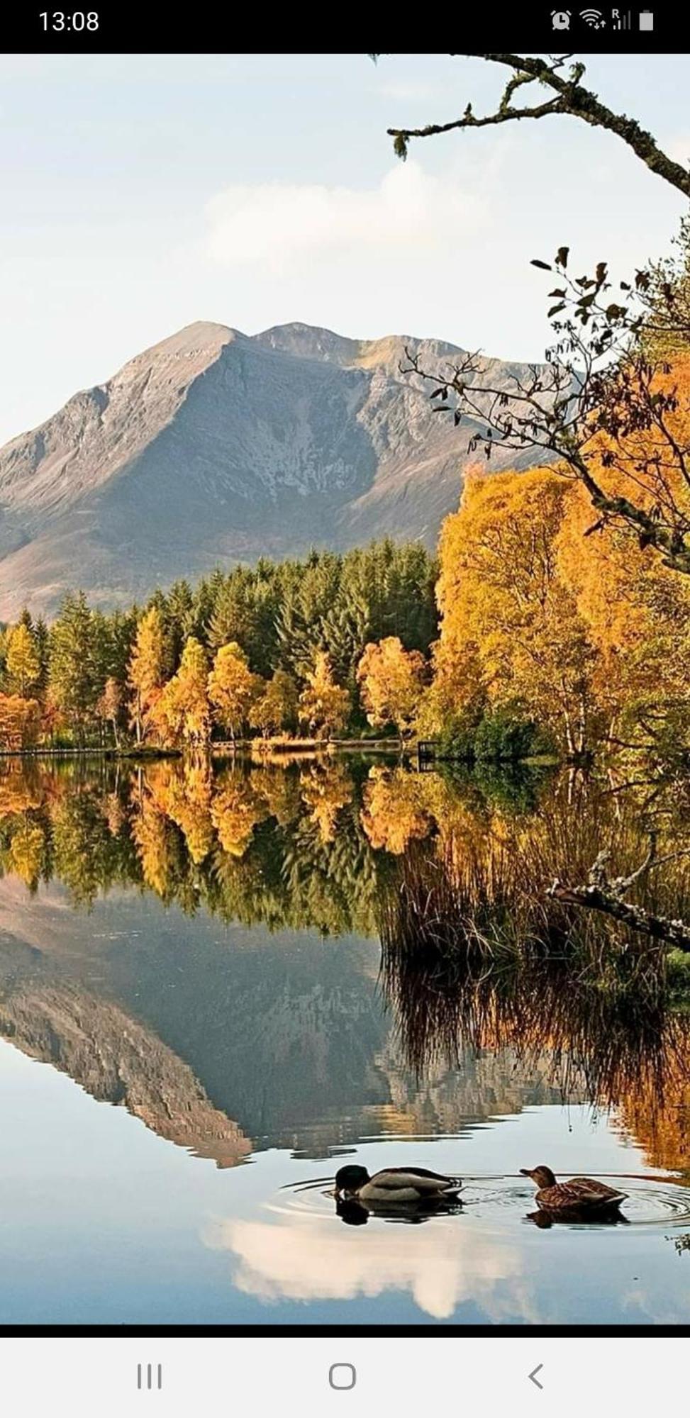 Millie'S Place Fort William Bagian luar foto