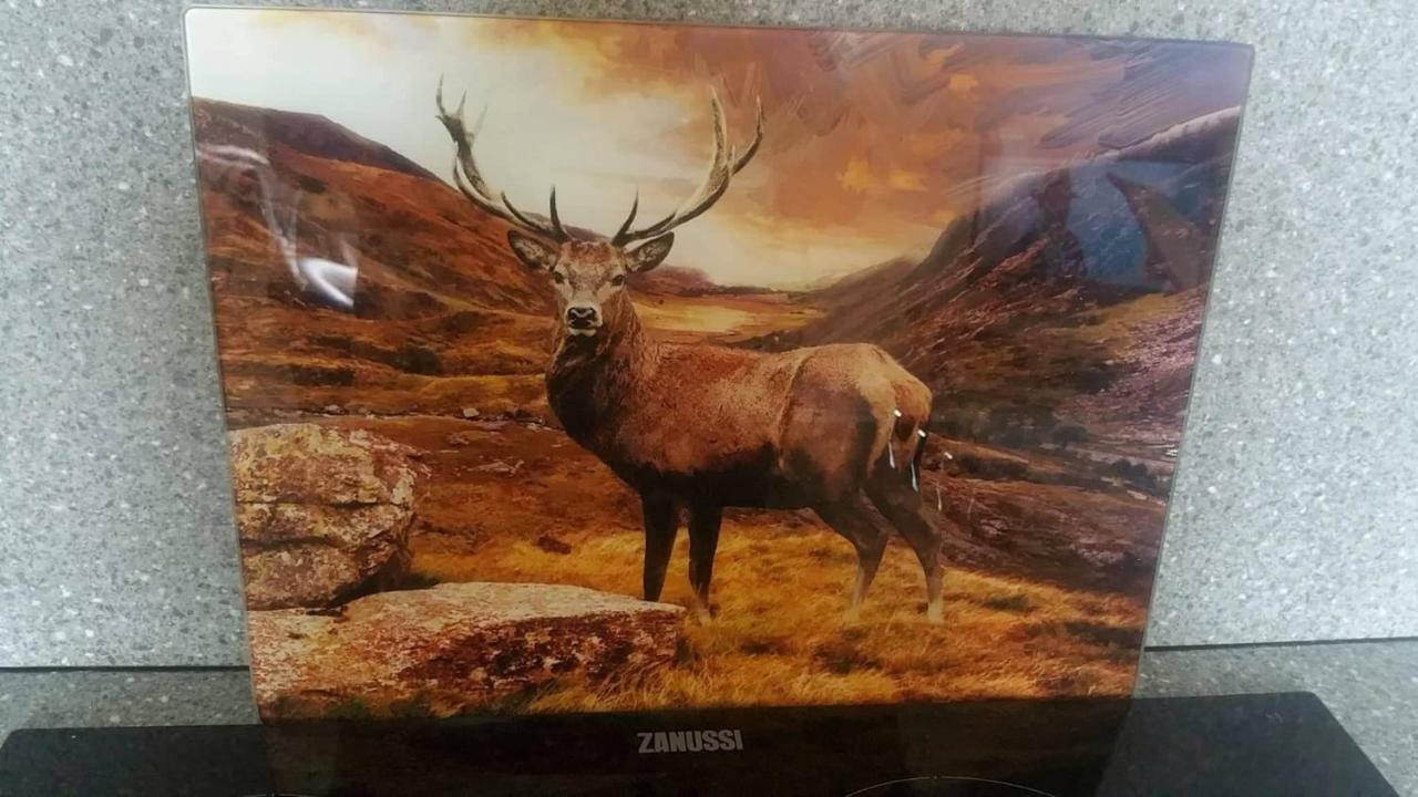 Millie'S Place Fort William Bagian luar foto